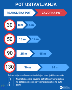 Pot ustavljanja